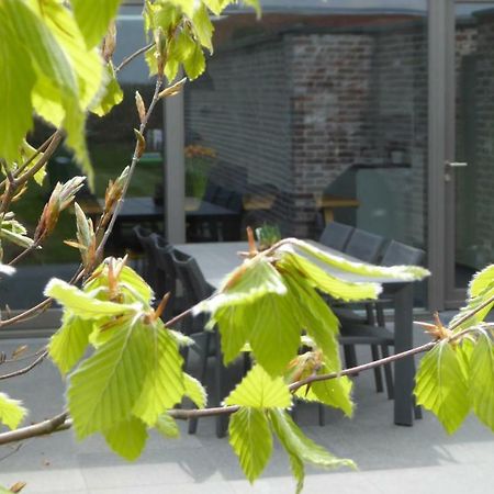 Villa Camilles House Wijtschate Esterno foto